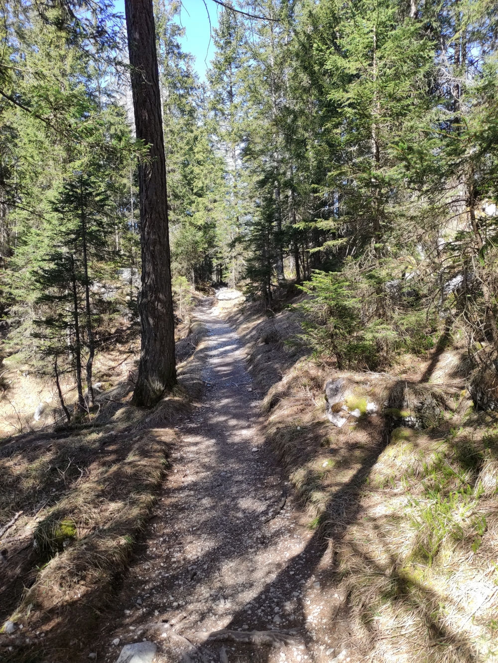 Wanderung Archenkanzel: Weg