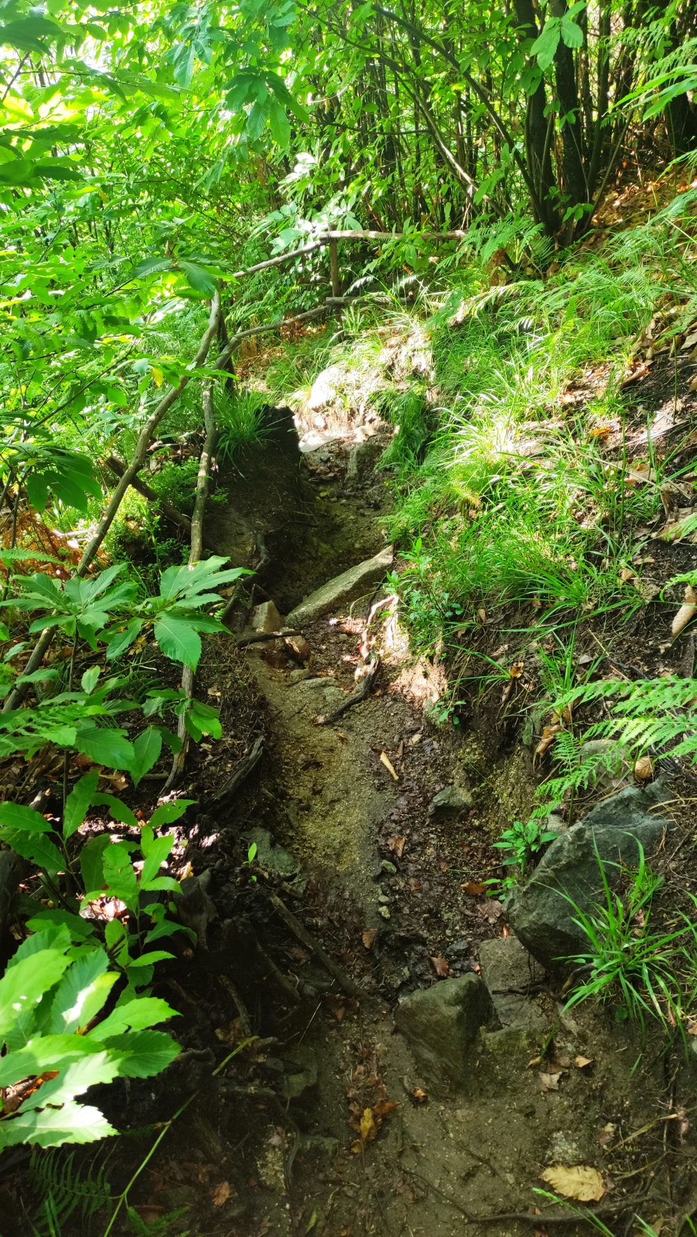 Wanderung Croce Egro: Teilweise stark erodiert