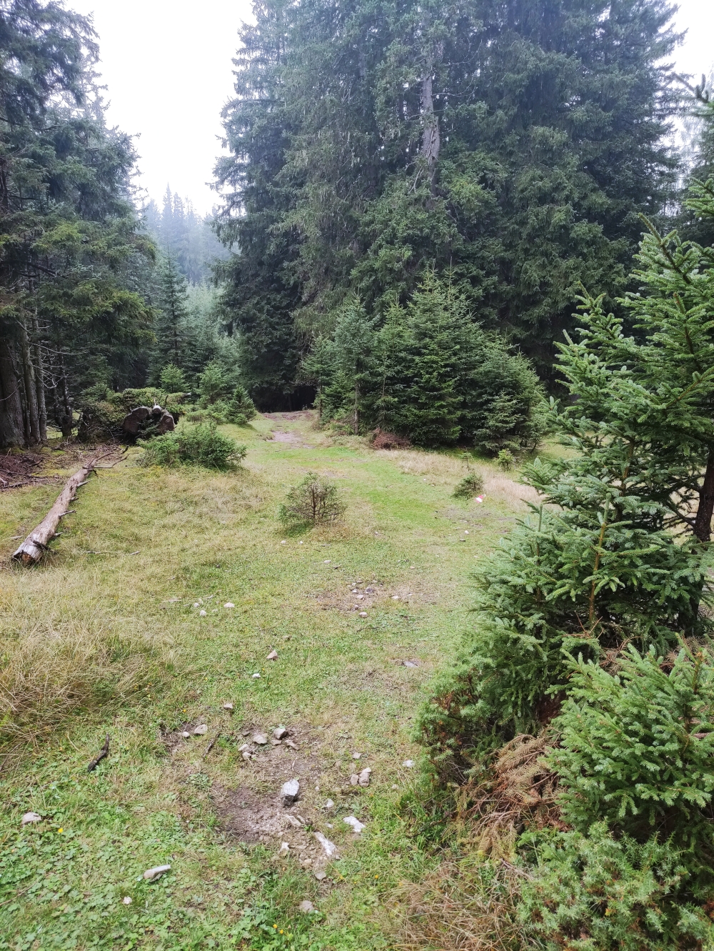 Wanderung Aussichtspunkt Lacke: Aufstieg zur Lacke