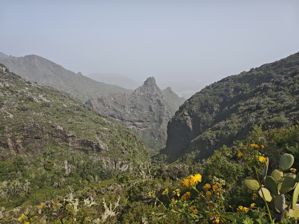 Wanderung Cuevas Negras und Monte del Agua: Wanderung Cuevas Negras und Monte del Agua: Aussicht (Aussichtspunkt Los Silos)