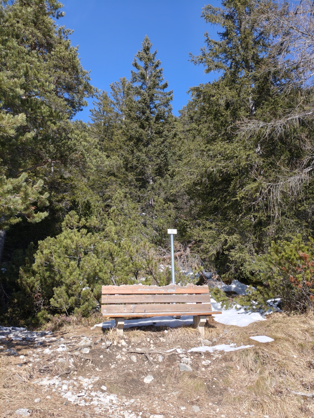 Wanderung Waldhorb Alpe: Wanderung Waldhorb Alpe: Aussichtsbank (Aussichtspunkt Meart)