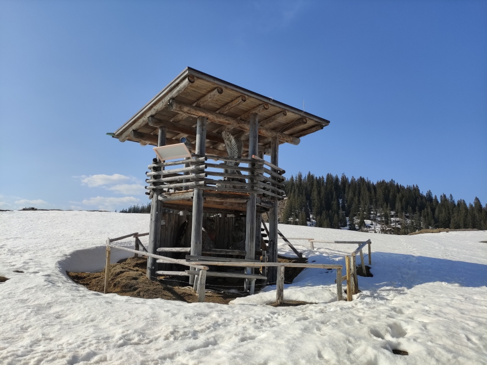 Wanderung Hundsalmjoch: Wanderung Hundsalmjoch: Adlerhorst am Adlerweg (Aussichtspunkt Adlerhorst)