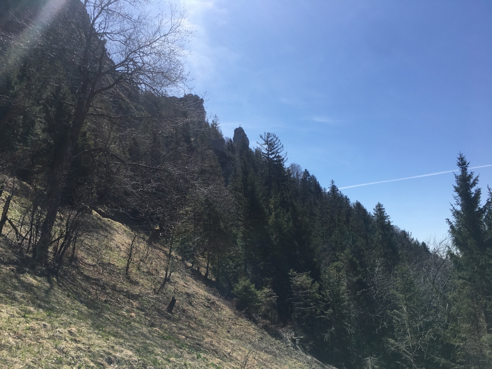 Wanderung Kitzstein aus dem Inntal: Wanderung Kitzstein aus dem Inntal: Gipfelkreuz Kundl (Aussichtspunkt Bichleralm)