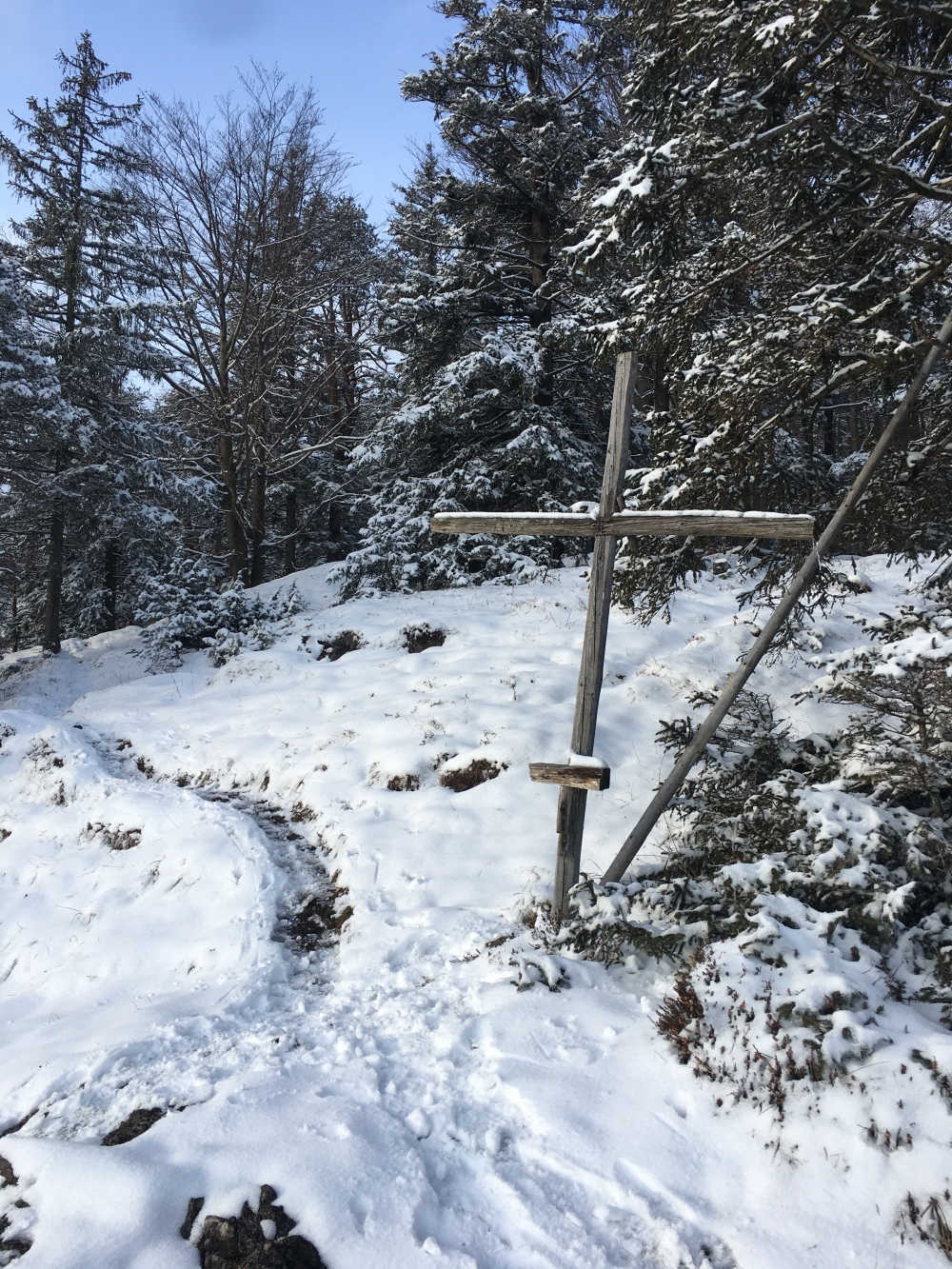 Wanderung Wildbarren von Niederaudorf: Wanderung Wildbarren von Niederaudorf: Gipfelkreuz am Aussichtspunkt (Aussichtspunkt Felix-Köpfl)