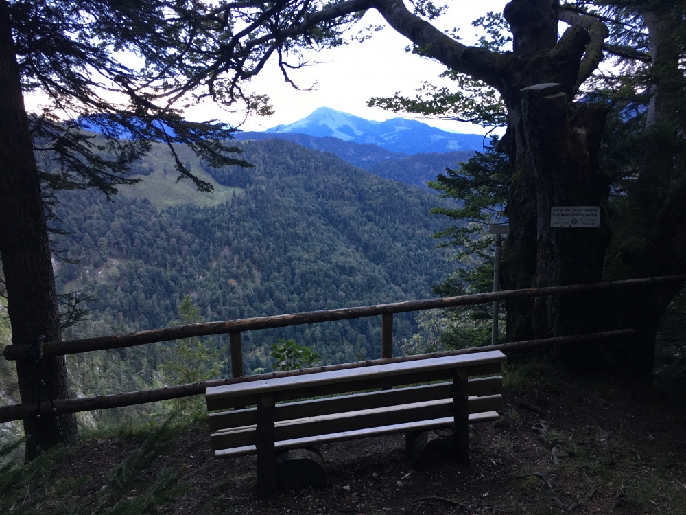 Wanderung Zettenkaiser: Wanderung Zettenkaiser: Nur bei gutem Wetter erblickt man hier den Venediger (Aussichtspunkt Venedigerblick)