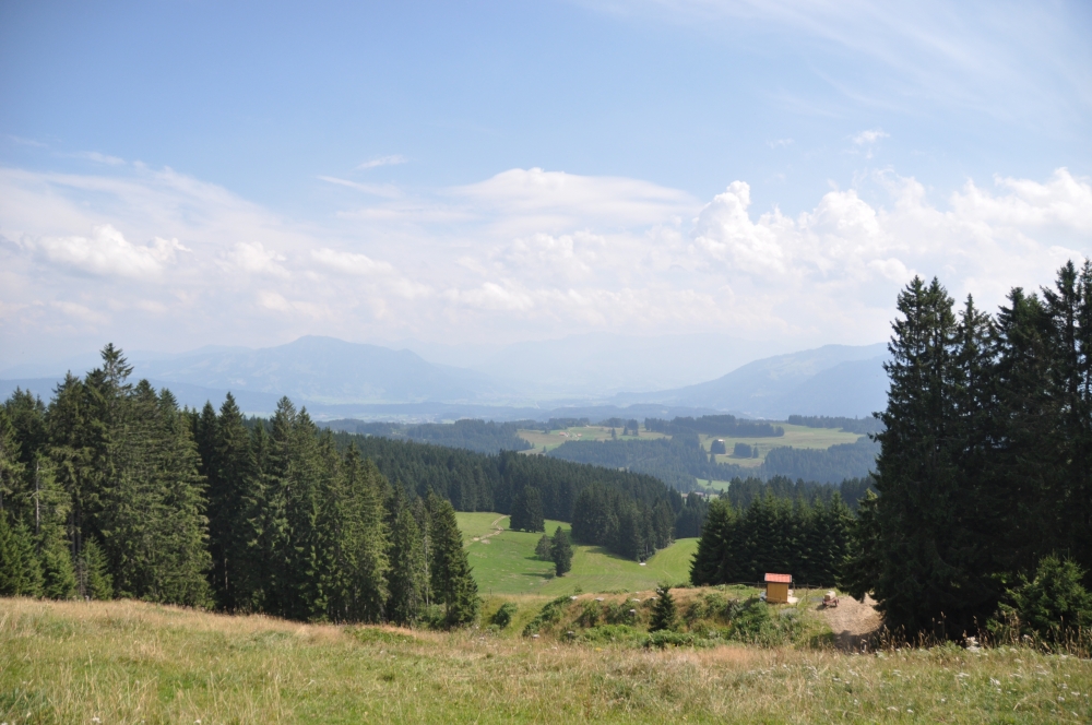 Wanderung Aussichtsturm Hauchenberg: Auf dem Weg zum Aussichtsturm
