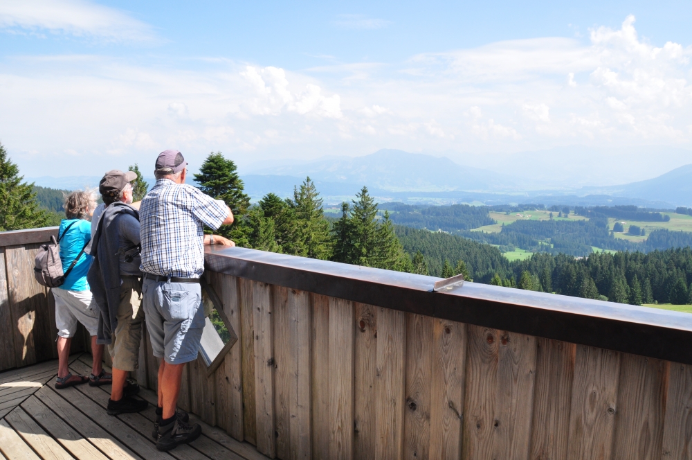 Wanderung Aussichtsturm Hauchenberg: Wanderung Aussichtsturm Hauchenberg: Ausblick (Aussichtsturm Hauchenberg)