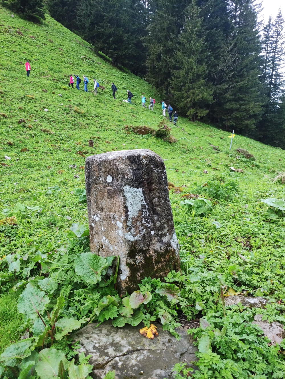 Wanderung Lösertalkopf: Wanderung Lösertalkopf: Historischer Grenzstein im Bäckenalmsattel