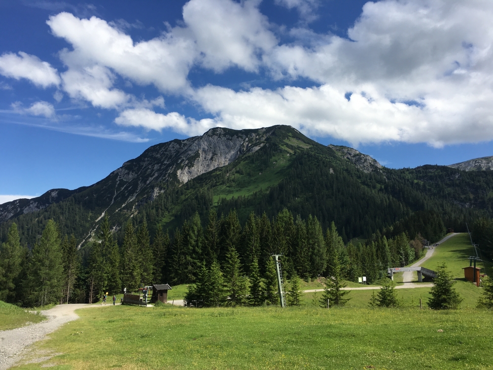 Wanderung Bärenkopf mit Bergbahn: Wanderung Bärenkopf mit Bergbahn: Der Bärenkopf 