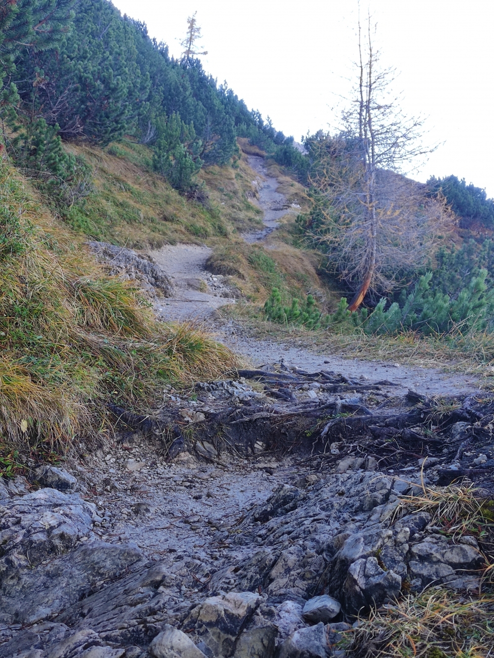 Klettersteig Freiungen Höhenweg: Zustieg zum Klettersteig