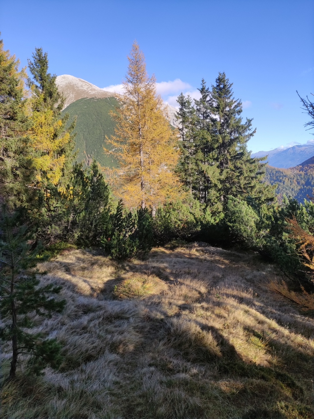 Klettersteig Freiungen Höhenweg: Der Weg am Ameiseck ist nicht immer leicht zu finden