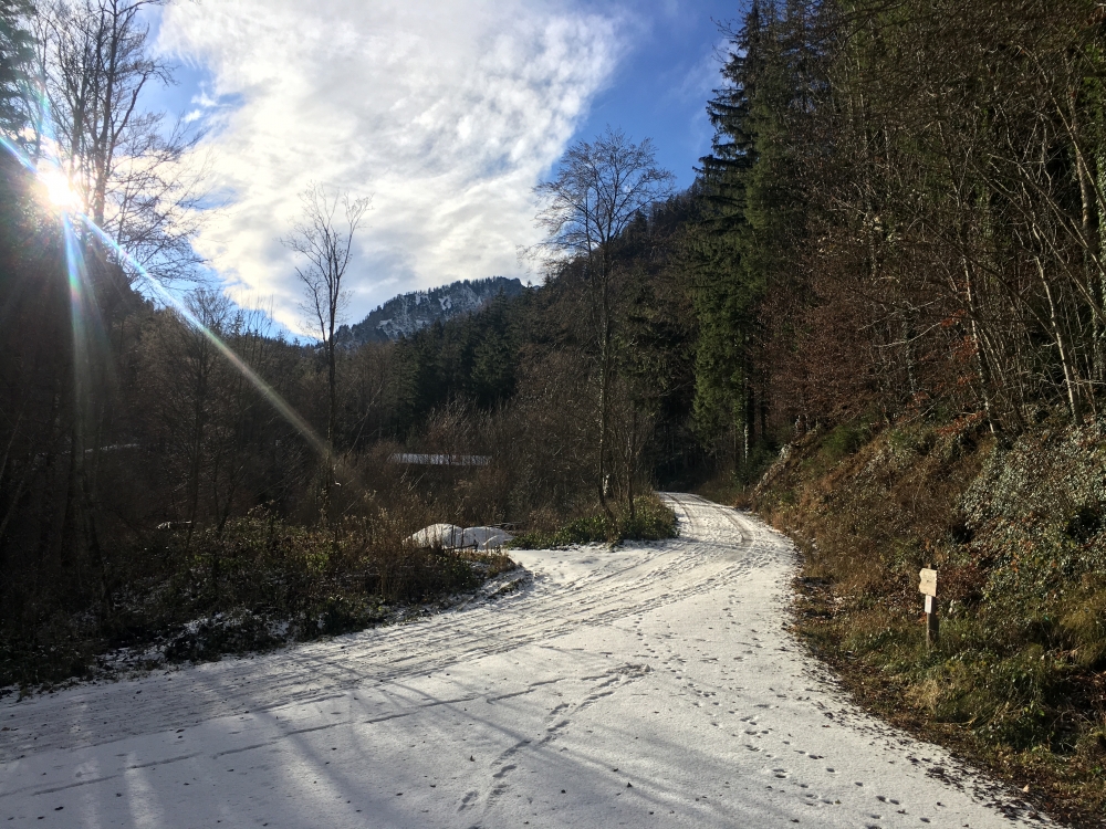 Wanderung Engelstein und Bairerkopf: Im unteren Abschnitt breite Forststraße
