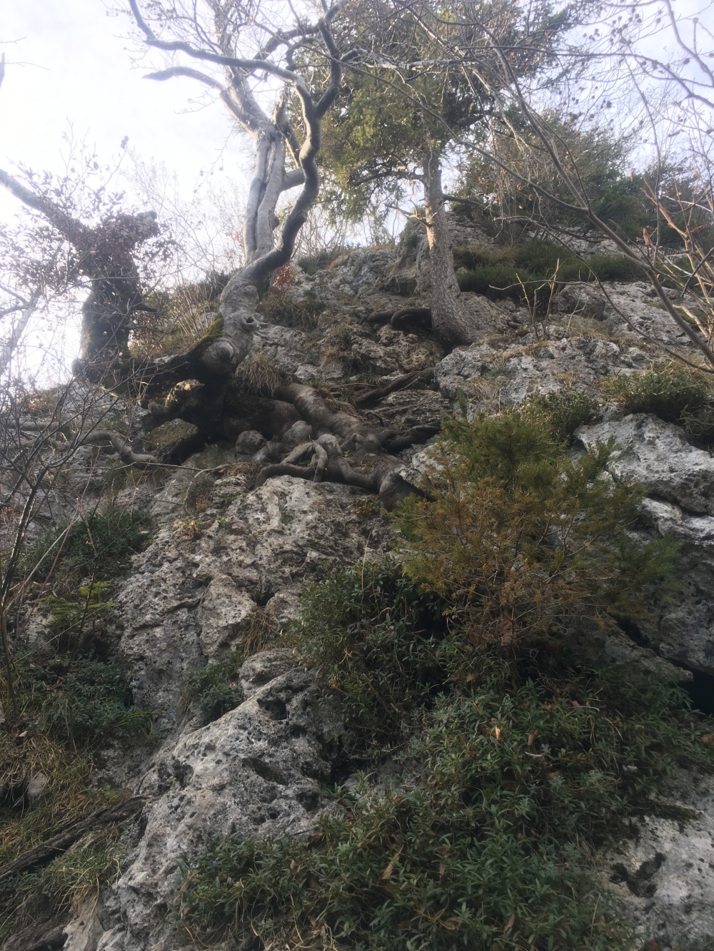 Wanderung Engelstein und Bairerkopf: UIAA II Kraxelei