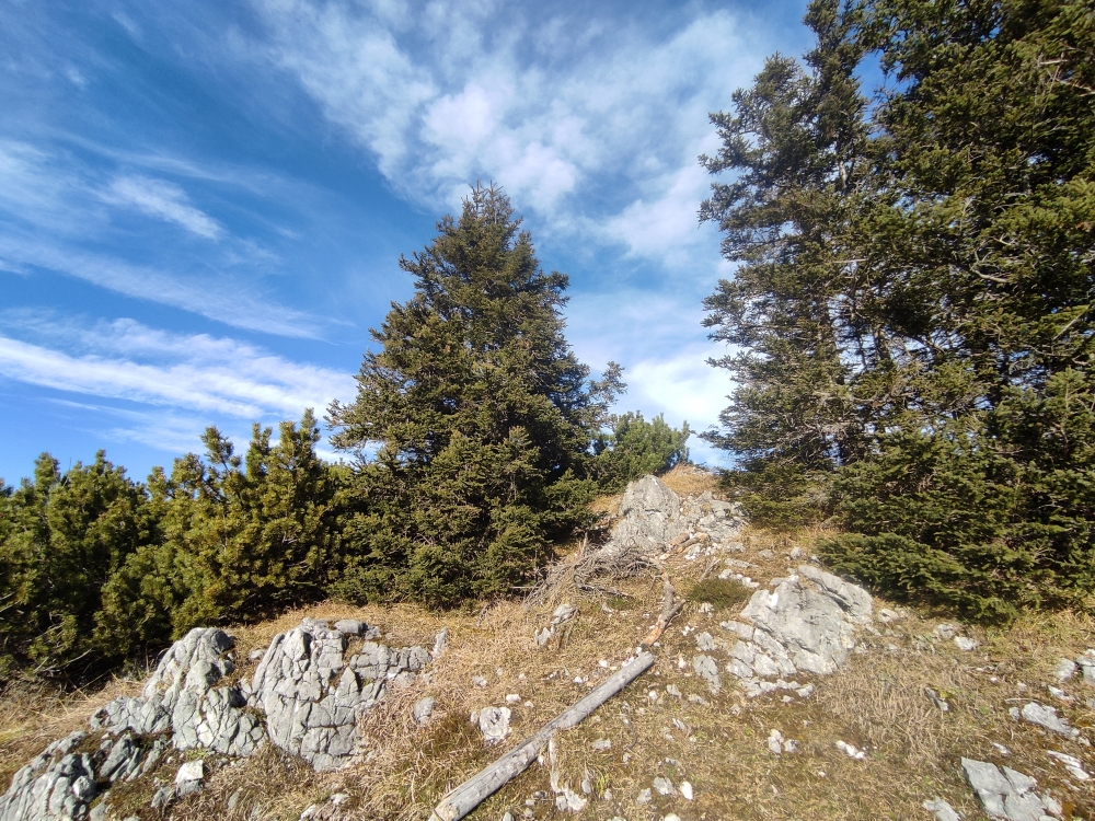 Wanderung Berchtesgadener Hochthron: Wanderung Berchtesgadener Hochthron: Bannkopf