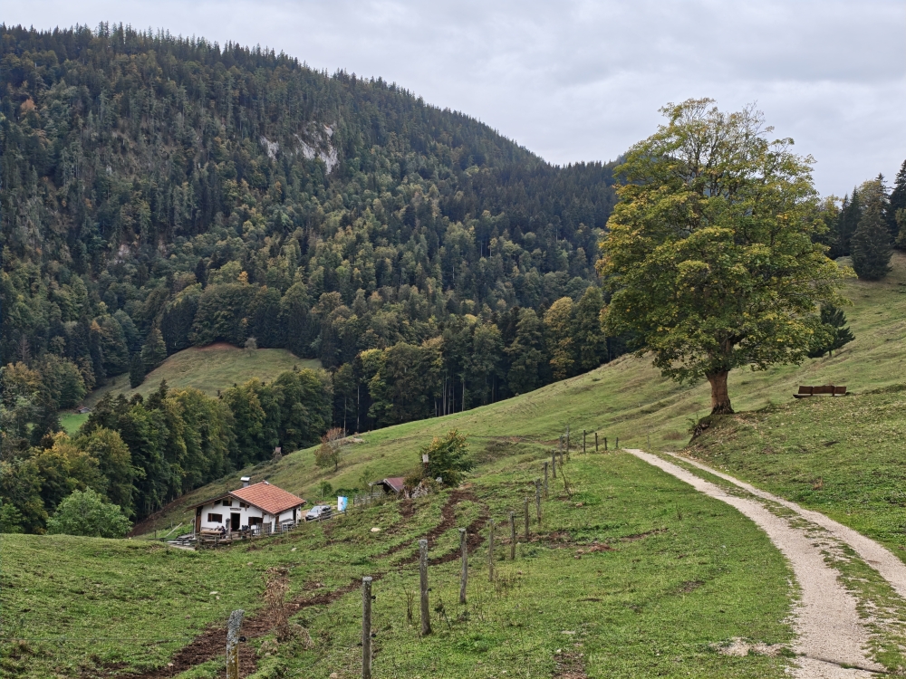 Wanderung Gscheuerwand: Wanderung Gscheuerwand: Baumgartenalm