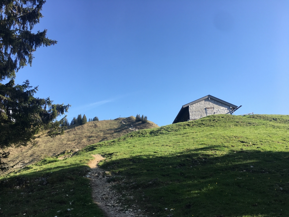 Wanderung Baumgartenschneid: Aufstieg zur Baumgartenalm