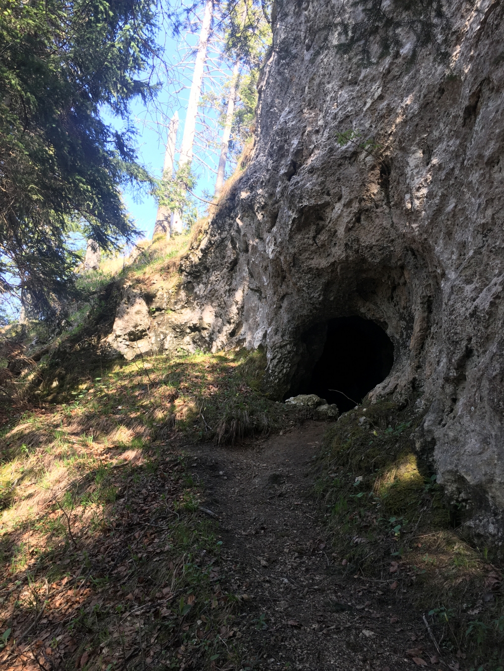Wanderung Baumgartenschneid: Wanderung Baumgartenschneid: Eingang in die Höhle (Rauhwackenhöhle)