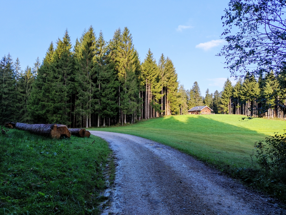 Baunköpfel-Alm: Braunköpflalm