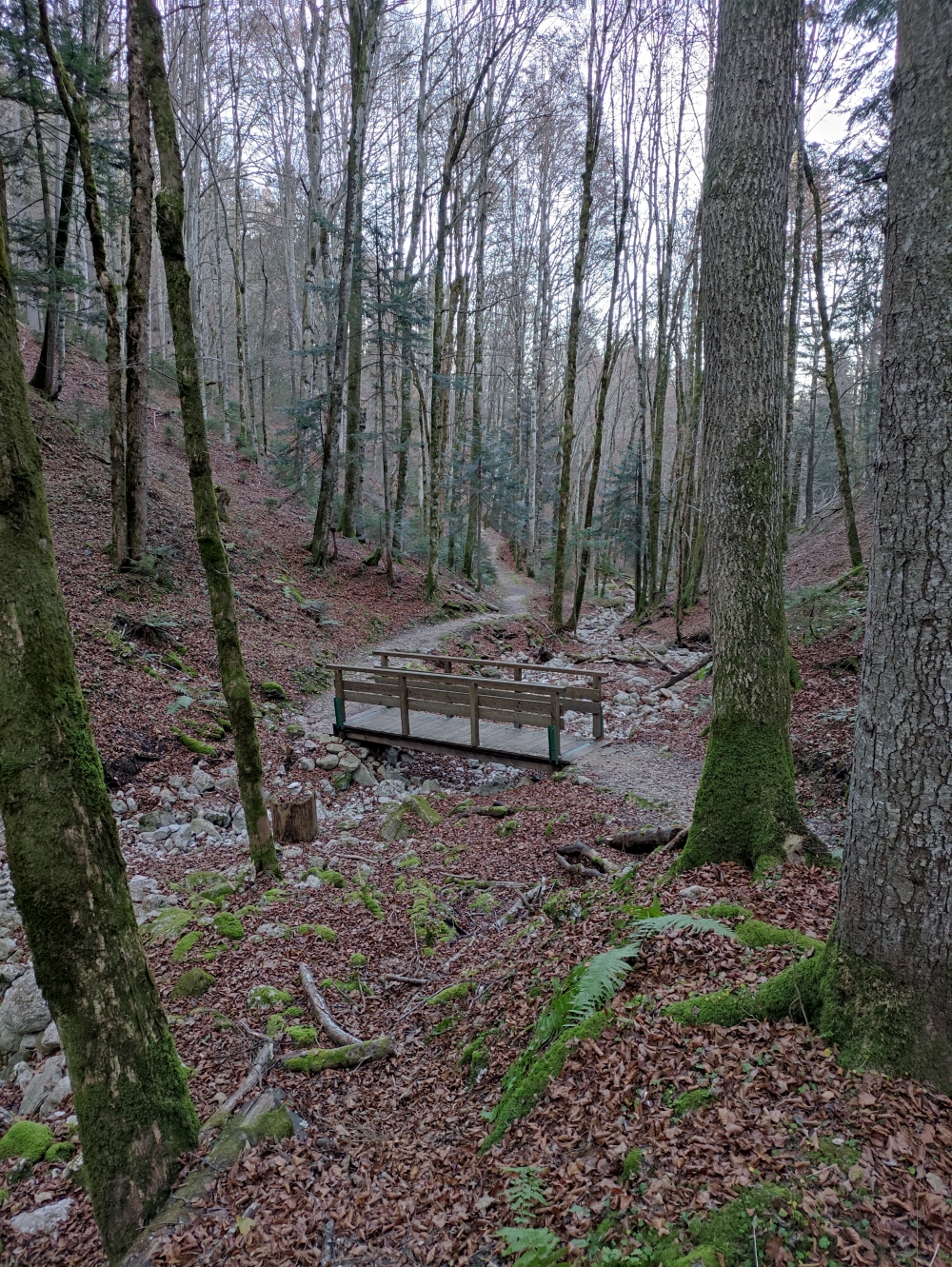 Wanderung Berchtesgadener Hochthron: Gerner Höhenweg