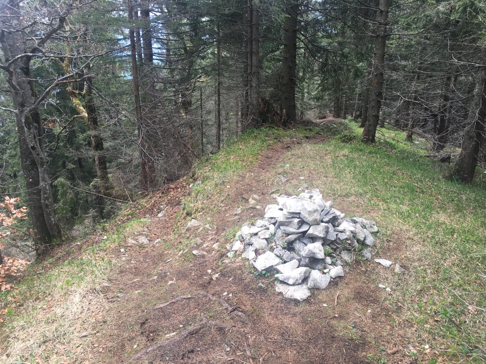 Wanderung Hochfelln von Steinbergalm: Hier trifft der Aufstieg auf den Strohngrat
