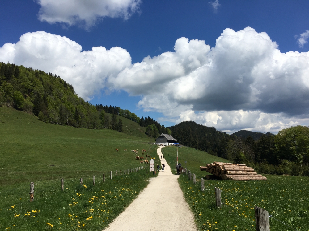 Wanderung Bründlingalm: Wanderung Bründlingalm: Blick auf die Hocherbalm