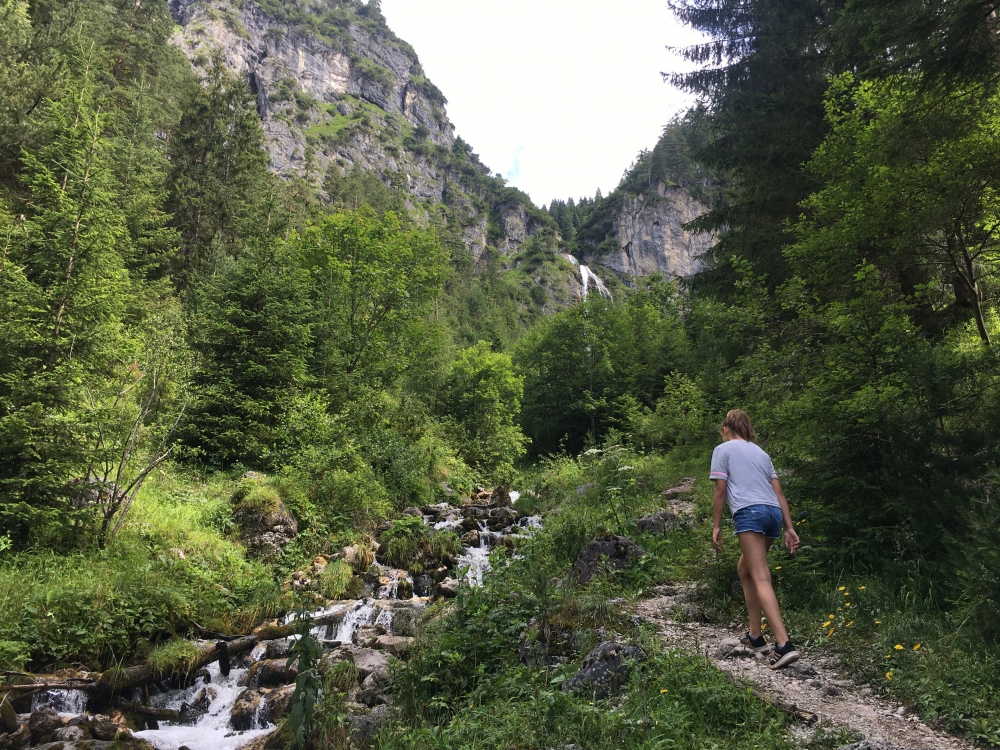 Wanderung Dalfazalm und Wasserfall: Aufstieg Richtung Wasserfall