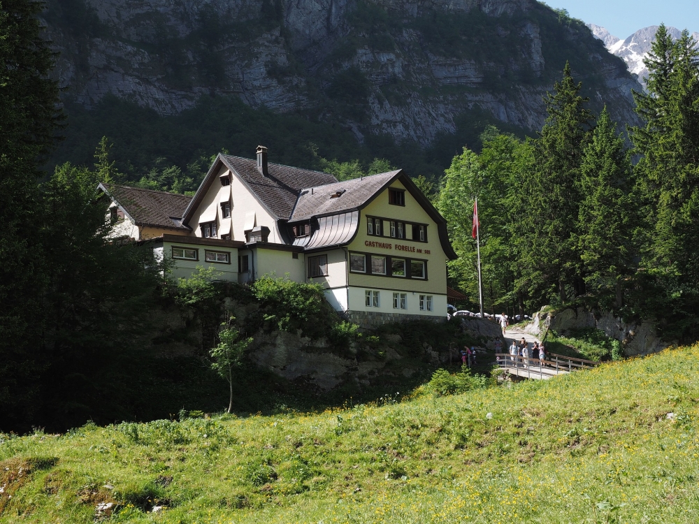 Bergrestaurant Forelle: Gasthaus Forelle