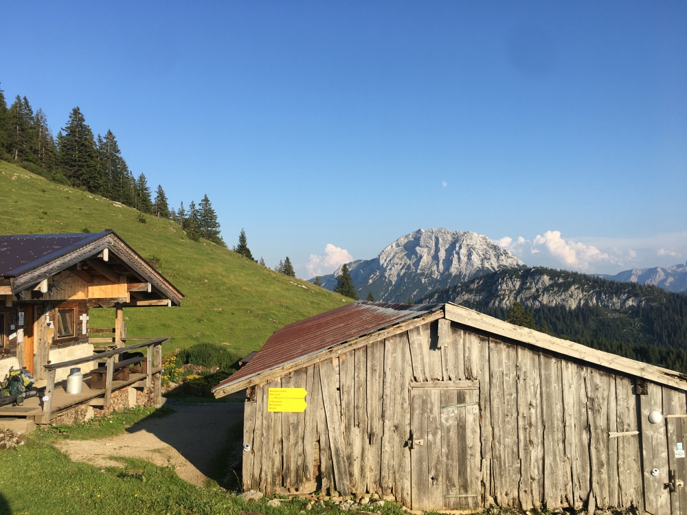 Wanderung Schildenstein: Wanderung Schildenstein: Blaubergalm mit Guffert im Hintergrund