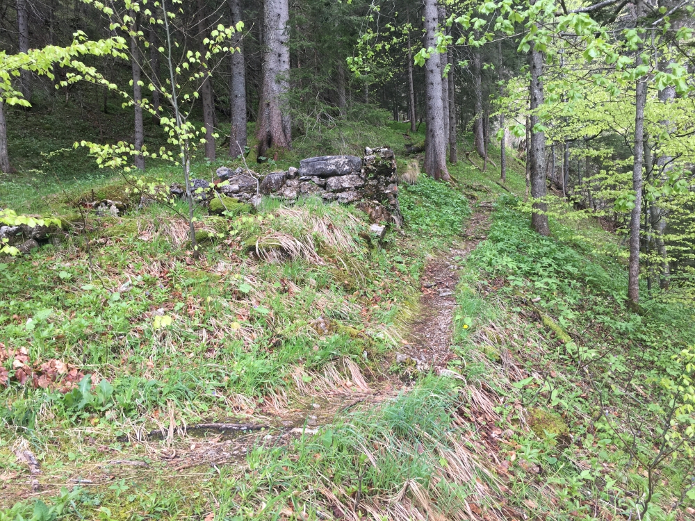Wanderung Hachelspitz-Höhenweg (Nord): Wanderung Hachelspitz-Höhenweg (Nord): Die Ruine der Blechgrabenalm