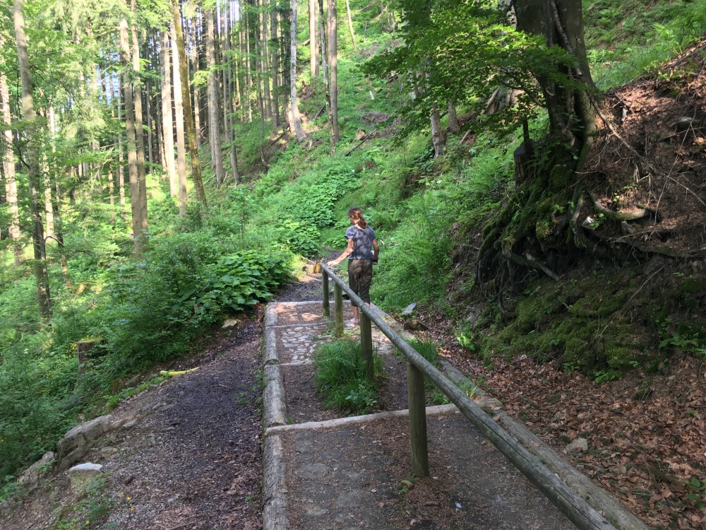 Wanderung Blomberg Sommerrodelbahn: Barfußpfad