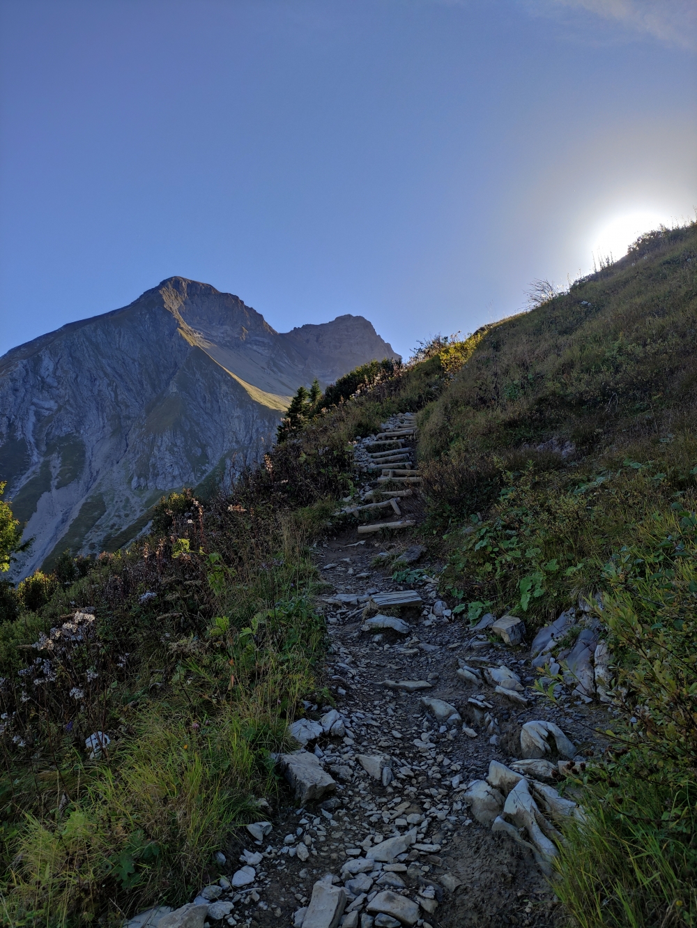 Wanderung Heilbronner Weg: Stufen zur Rappenseehütte