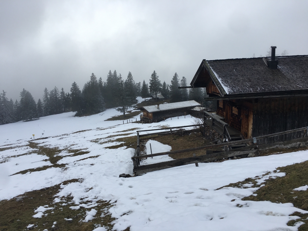 Wanderung Bodenschneid: Wanderung Bodenschneid: Bodenalm