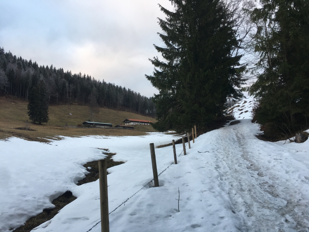 Wanderung Bodenschneid-Grat zum Rainerkopf: Unterhalb der Kühzaglalm