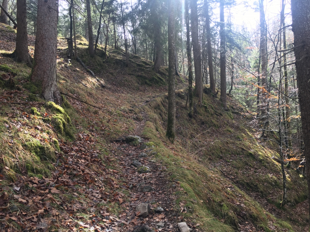 Wanderung Bodenschneid: Ein wunderschöner, alter Weg
