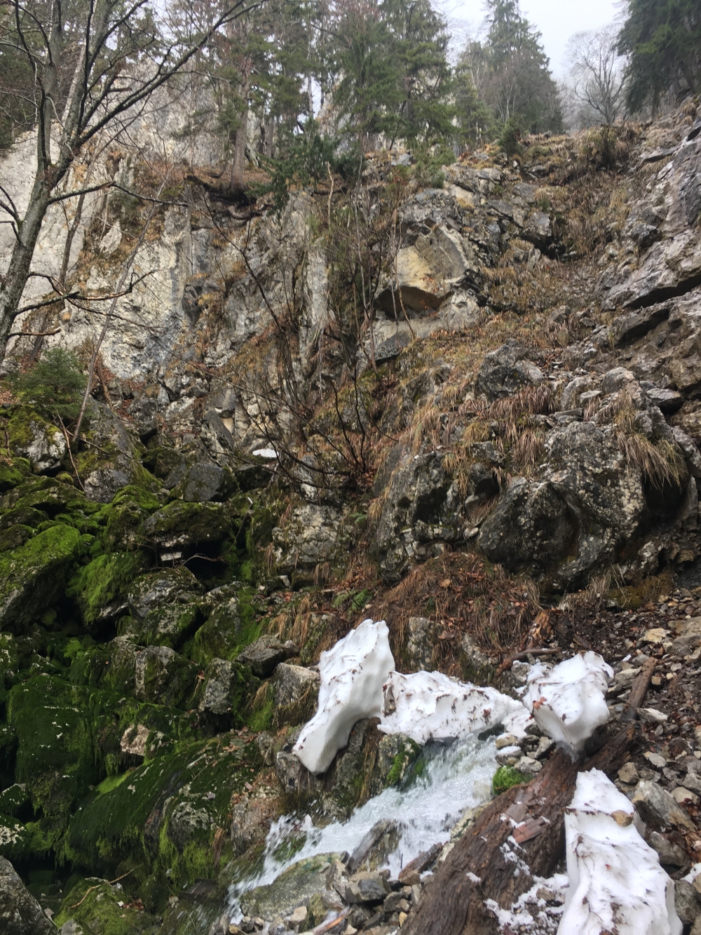 Wanderung Bodenschneid: Hier sprudelt der Bach aus der Quelle (zweite Bachüberquerung)