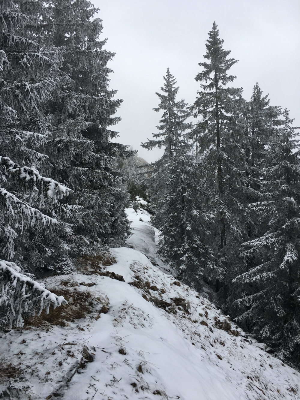 Wanderung Bodenschneid-Grat zum Rainerkopf: Blick auf die Wasserspitz