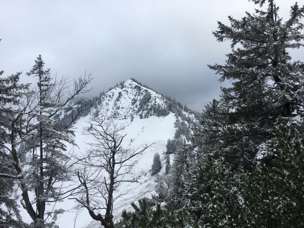 Wanderung Bodenschneid-Grat zum Rainerkopf: Blick auf die Wasserspitz