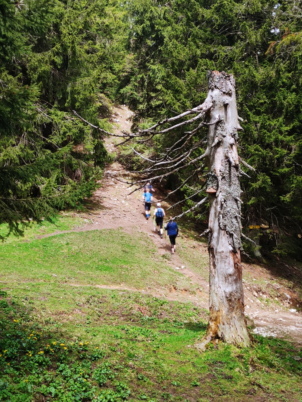 Wanderung Bodenschneid: Wanderung Bodenschneid: Steigbeginn am Suttenstein