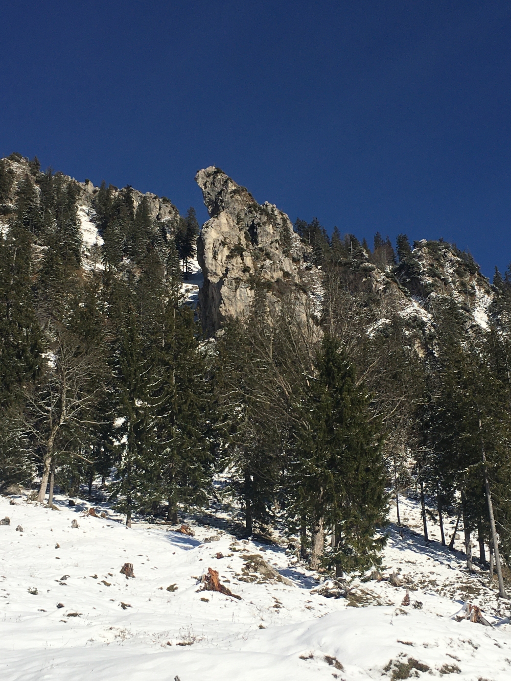 Bogn Nosn: Blick von der Thoraualm auf die Bogn Nosn