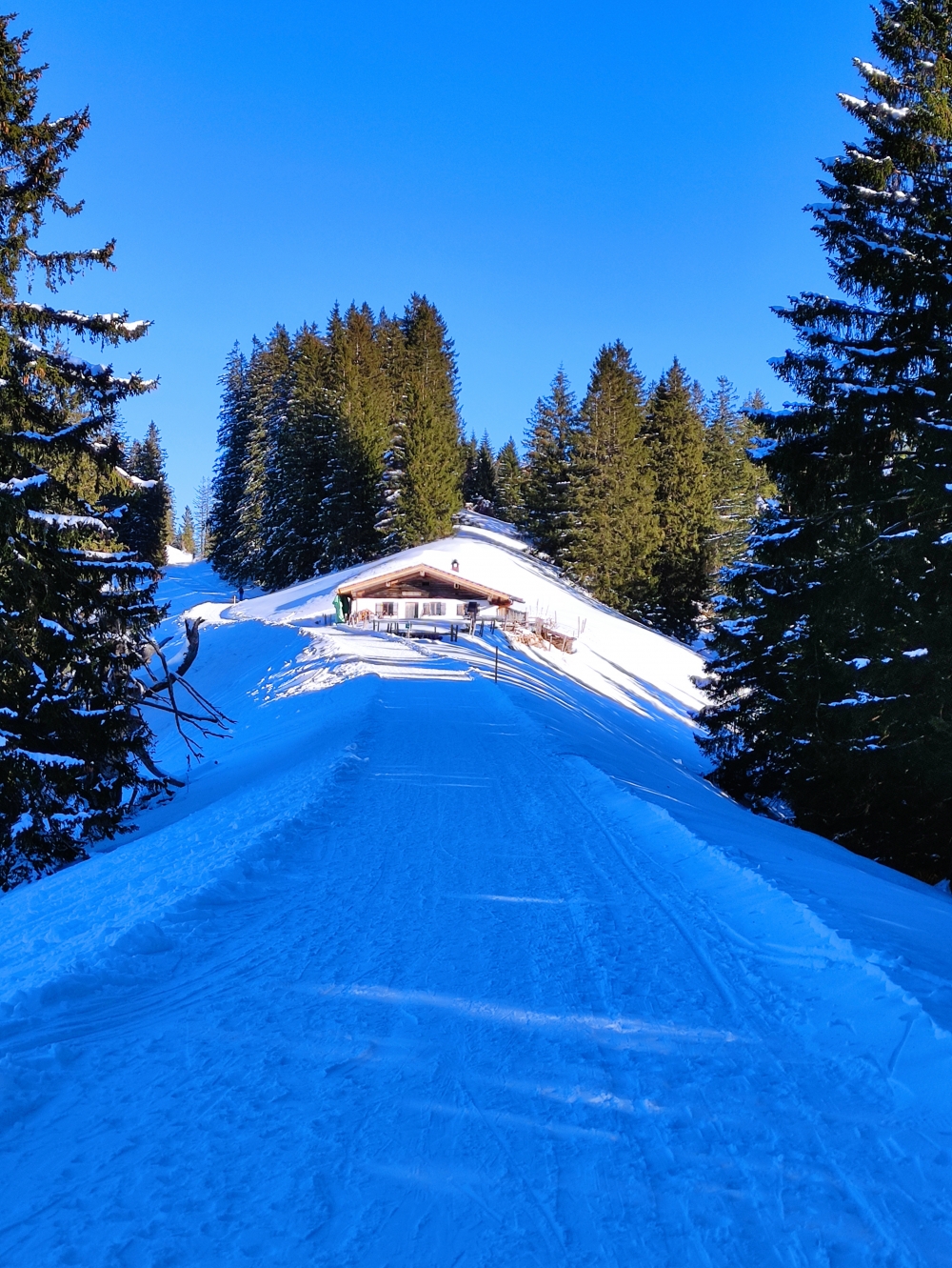 Rodeln Unternberg: Rodeln Unternberg: Boider-Alm (Boider Kaser)