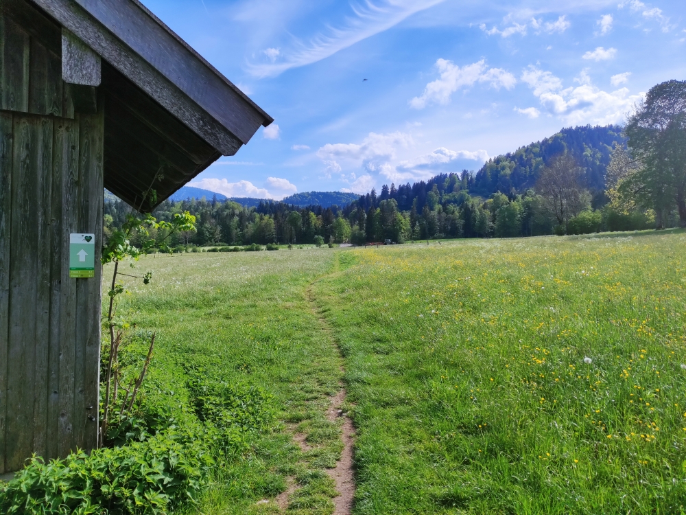 Bike & Hike Brauneck Mountainbike: Im Tal über Wiesenpfade