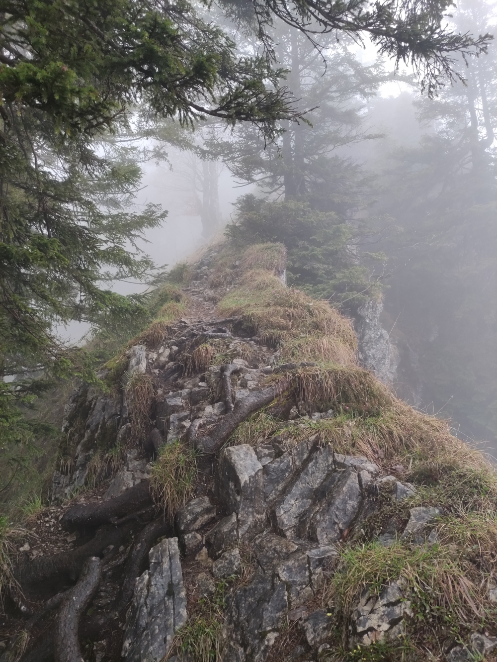 Wanderung Brecherspitz Ost: Ostgrat