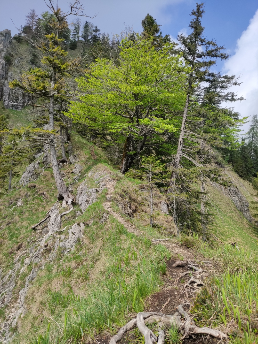 Wanderung In den Brecherspitzkessel: Wanderung In den Brecherspitzkessel: Gratweg mit Absturzgefahr