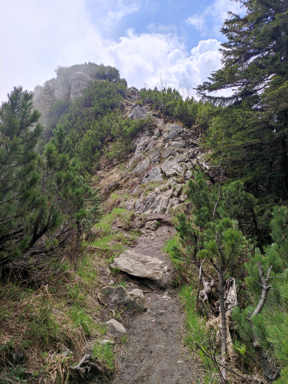 Wanderung Brecherspitz Nord: Wanderung Brecherspitz Nord: Verblockter Pfad