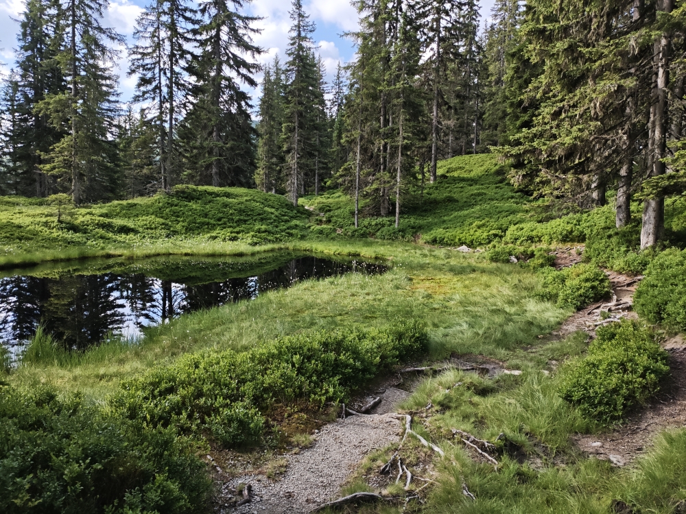 Wanderung Breiteggspitze: An vielen Moorweihern vorbei