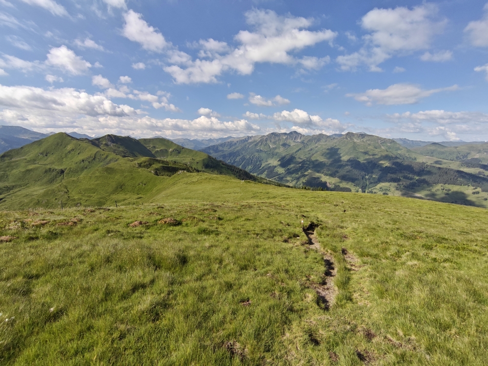 Wanderung Breiteggspitze: Wiesenabstieg vom Feldalphorngipfel