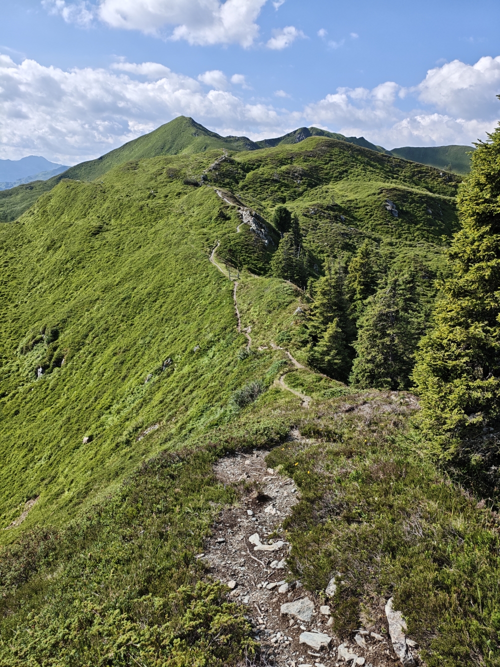 Wanderung Breiteggspitze: Aufstieg zum Schwaigberghorn