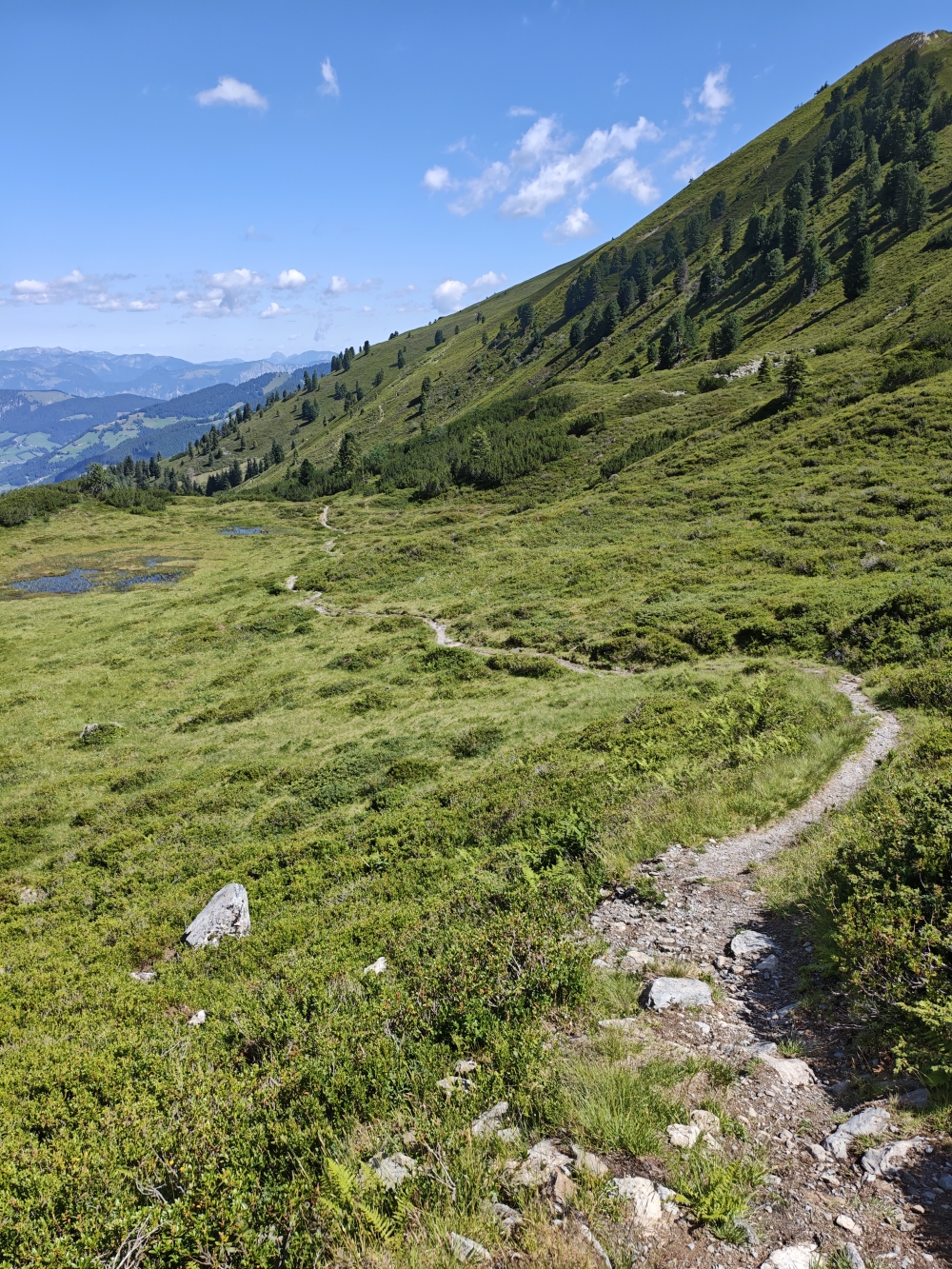 Wanderung Breiteggspitze: Weg
