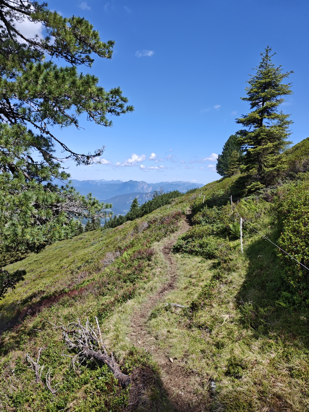 Wanderung Breiteggspitze: Trampelpfad