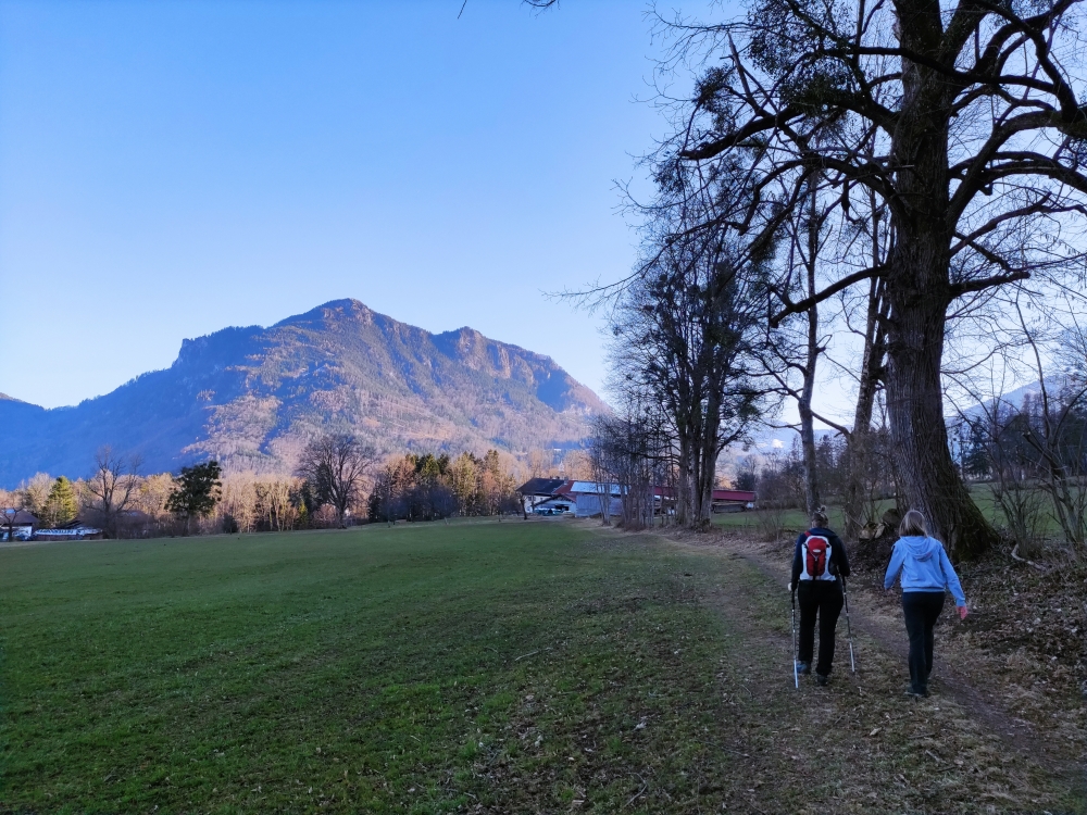 Wanderung Breitenberg: Querung über den Wiesenpfad